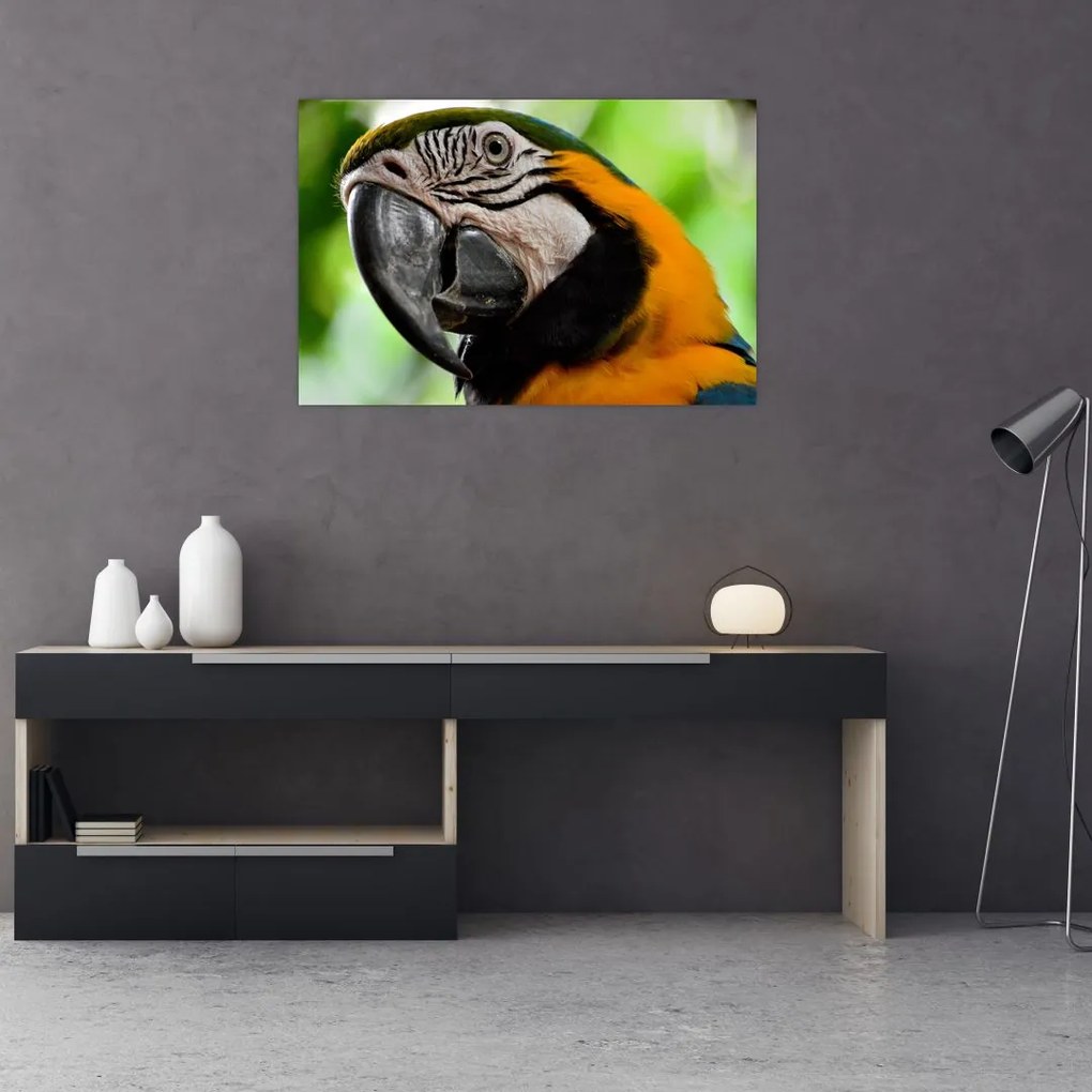 Tablou cu papagal (90x60 cm)