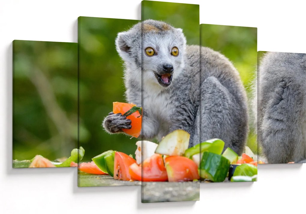 Tablou cu lemur (150x105 cm)