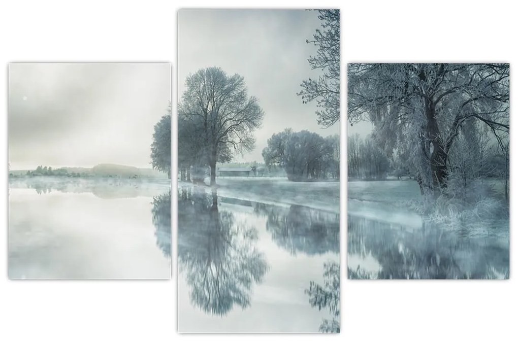 Tablou cu natura iarna (90x60 cm)