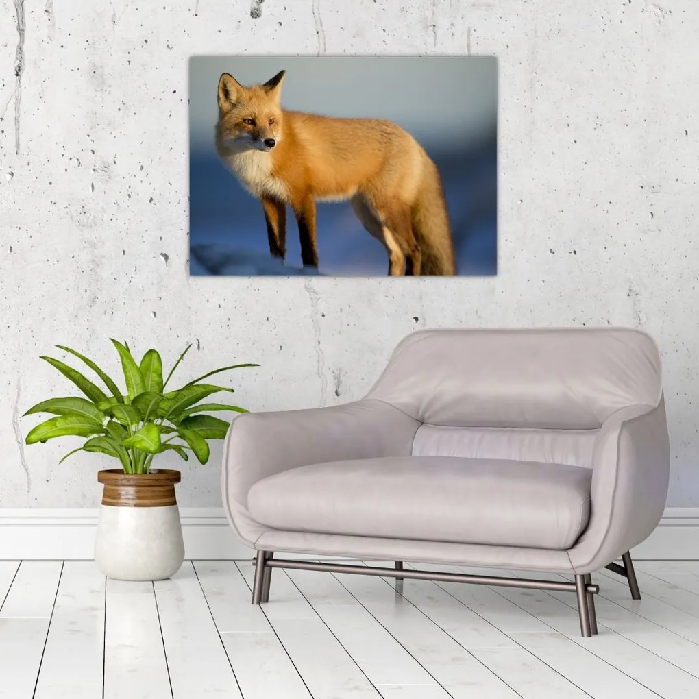 Tablou -Vulpea pe zăpadă (70x50 cm)