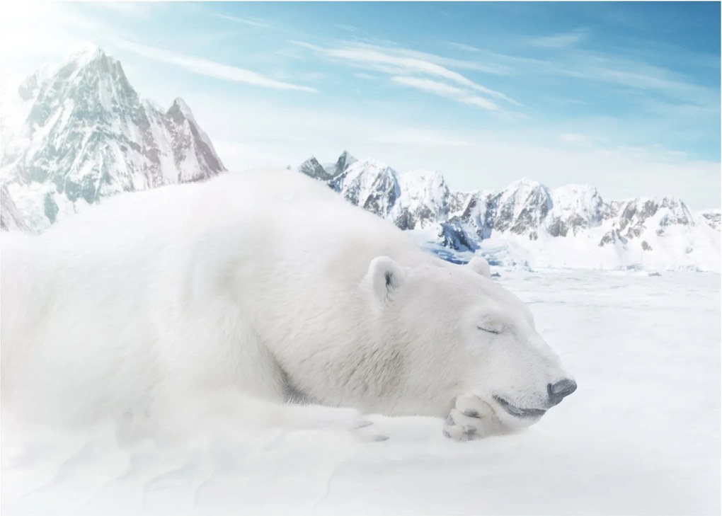 Tablou - Urs polar (70x50 cm)