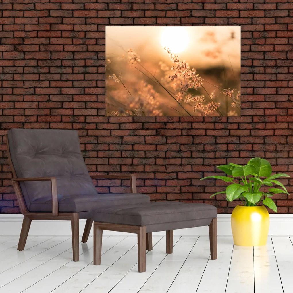 Tablou - Iarbă la soare (90x60 cm)