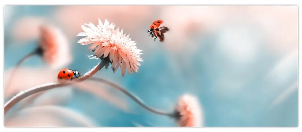 Tablou - Buburuze pe floare (120x50 cm)