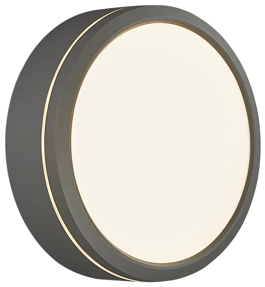 Aplica LED perete/ tavan exterior cu protectie IP54 Ava Smart Grey