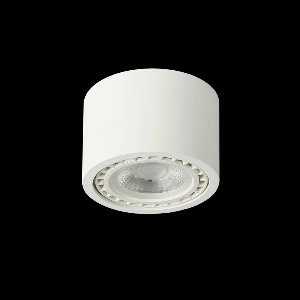 Spot aplicat de tavan/plafon ECO ALIX NEW alb ZZ AZ3492