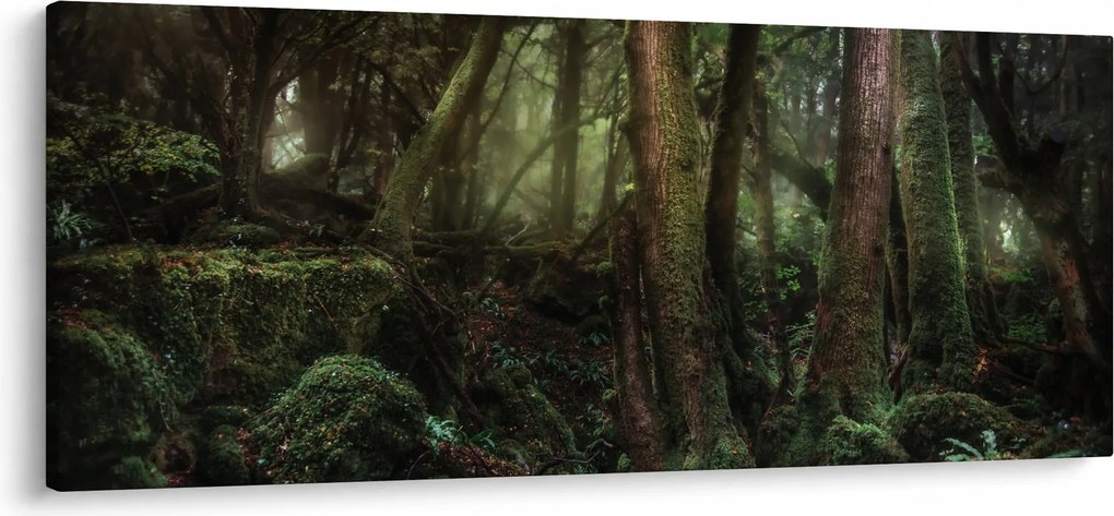 Tablou - Pădurea enigmatică (120x50 cm)