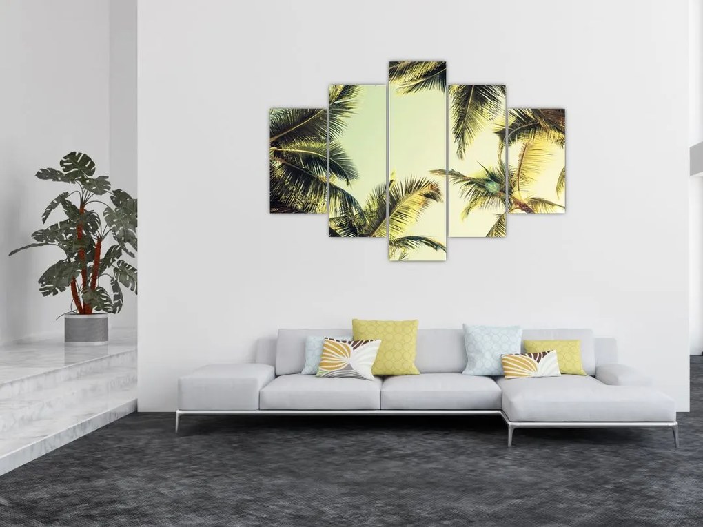 Tablou - Palmieri de cocos (150x105 cm)