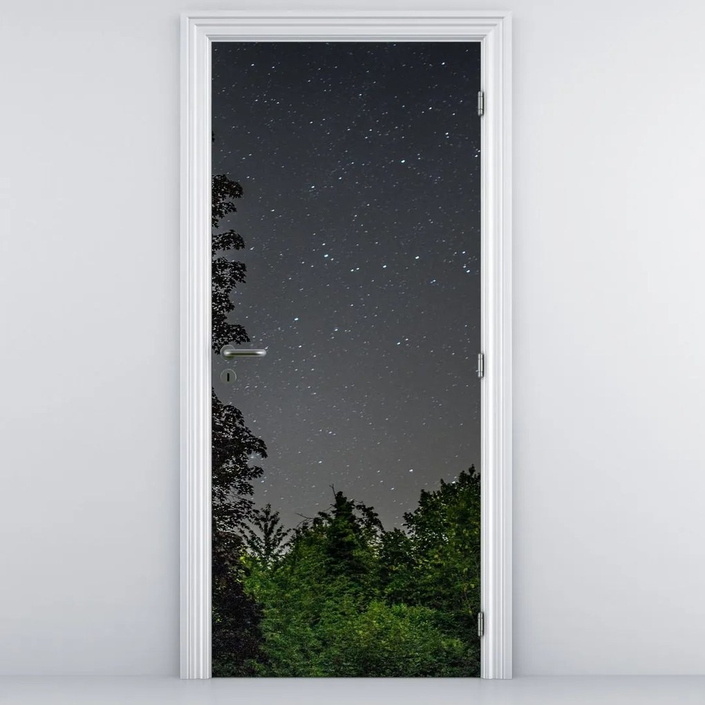 Fototapet pentru ușă - Cerul noaptea (95x205cm)