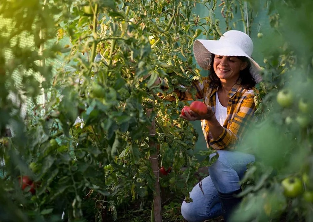 Solar de grădină 2 x 3,5 m