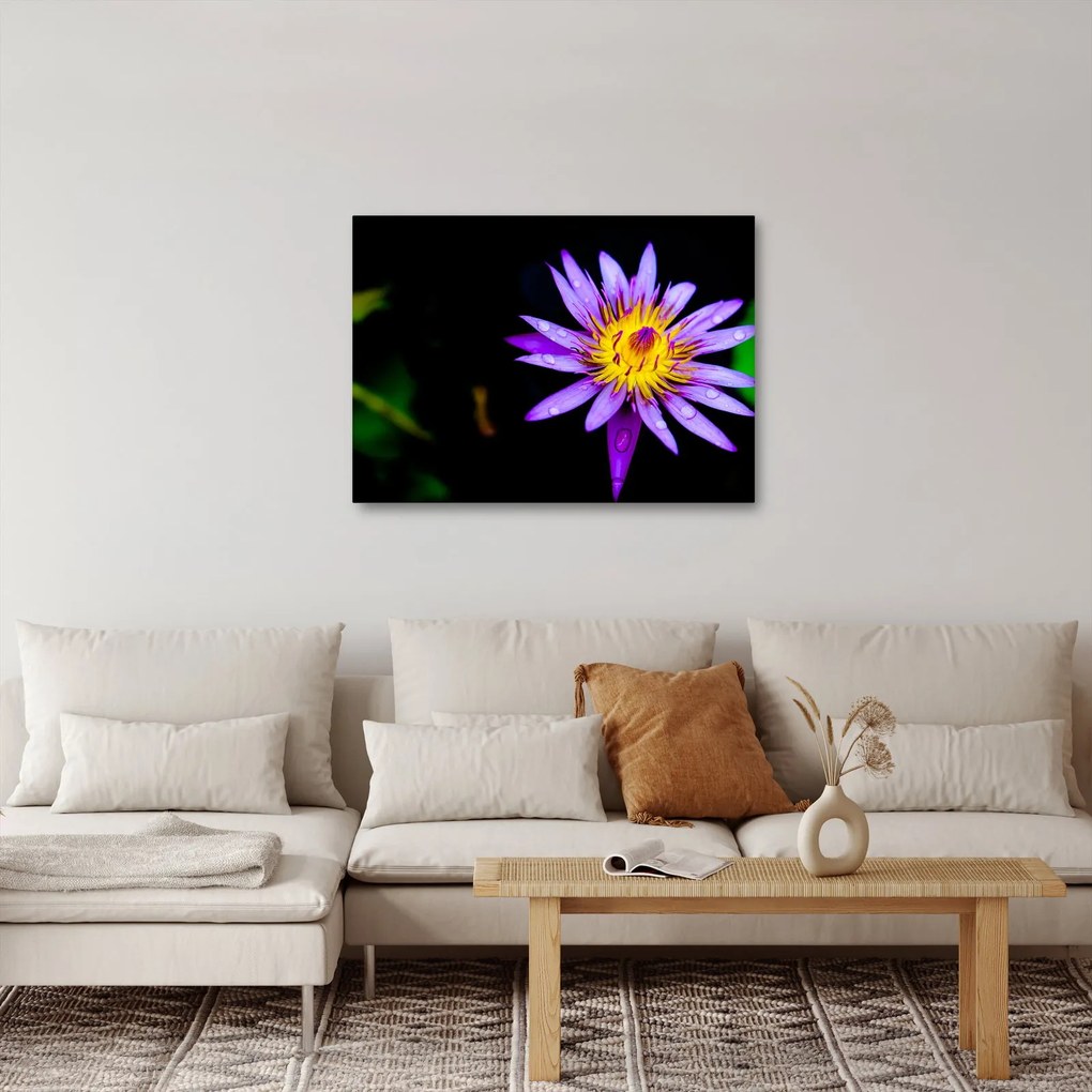 Tablou cu floare (70x50 cm)