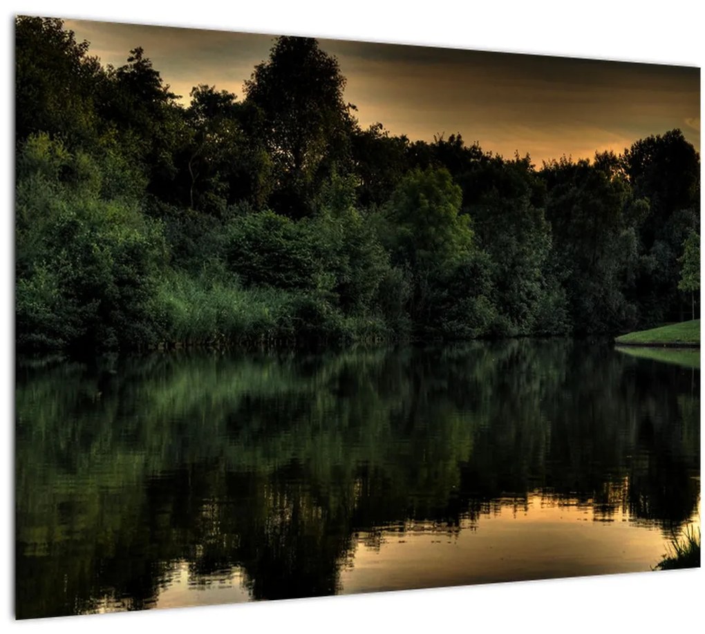 Tablou cu lac în pădure (70x50 cm)