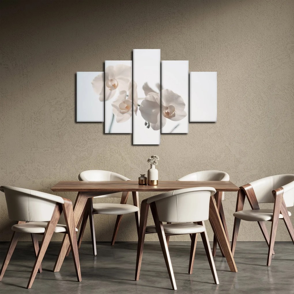 Tablou cu orhidee albă (150x105 cm)
