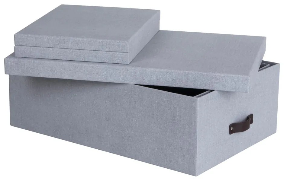 Cutii de depozitare gri-deschis 3 buc. din carton cu capac 31x47x15 cm Inge – Bigso Box of Sweden