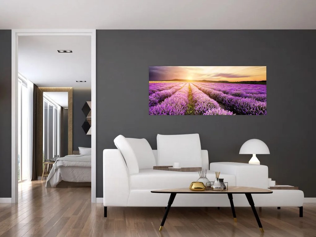 Tablou - Răsărit de soare în câmp de lavandă (120x50 cm)