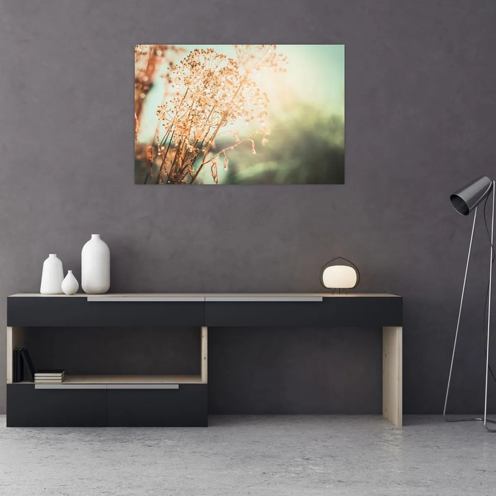 Tablou - Plante după ploaie (90x60 cm)