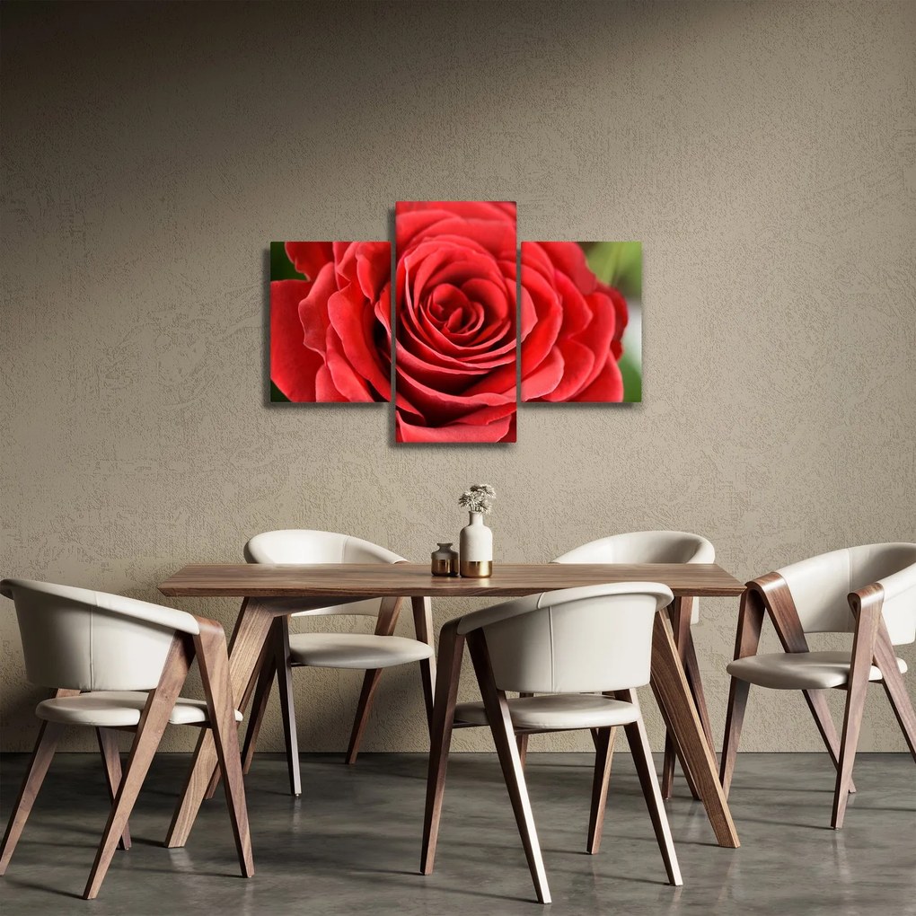Tablou - Flori de trandafir (90x60 cm)