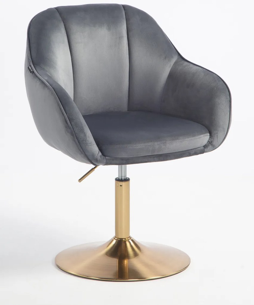 HR2055N Scaun Grafit din Catifea cu Bază Aurie