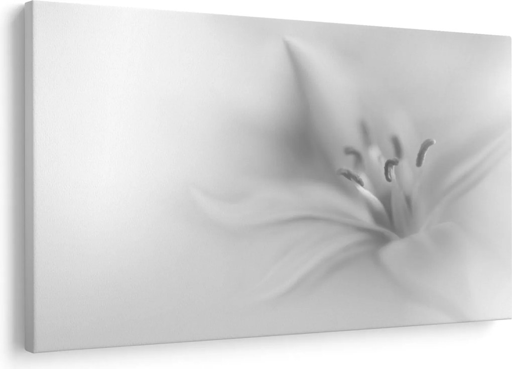 Tablou - Crin delicat (90x60 cm)