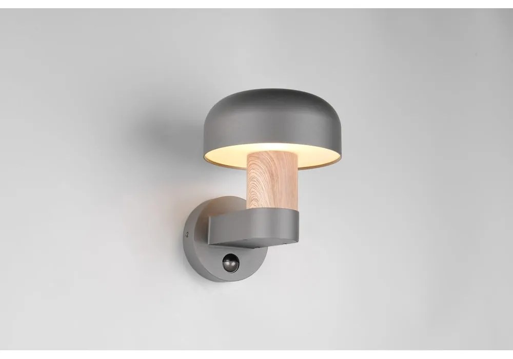 Corp de iluminat pentru exterior, de perete (înălțime 24,5 cm) Fraser – Trio