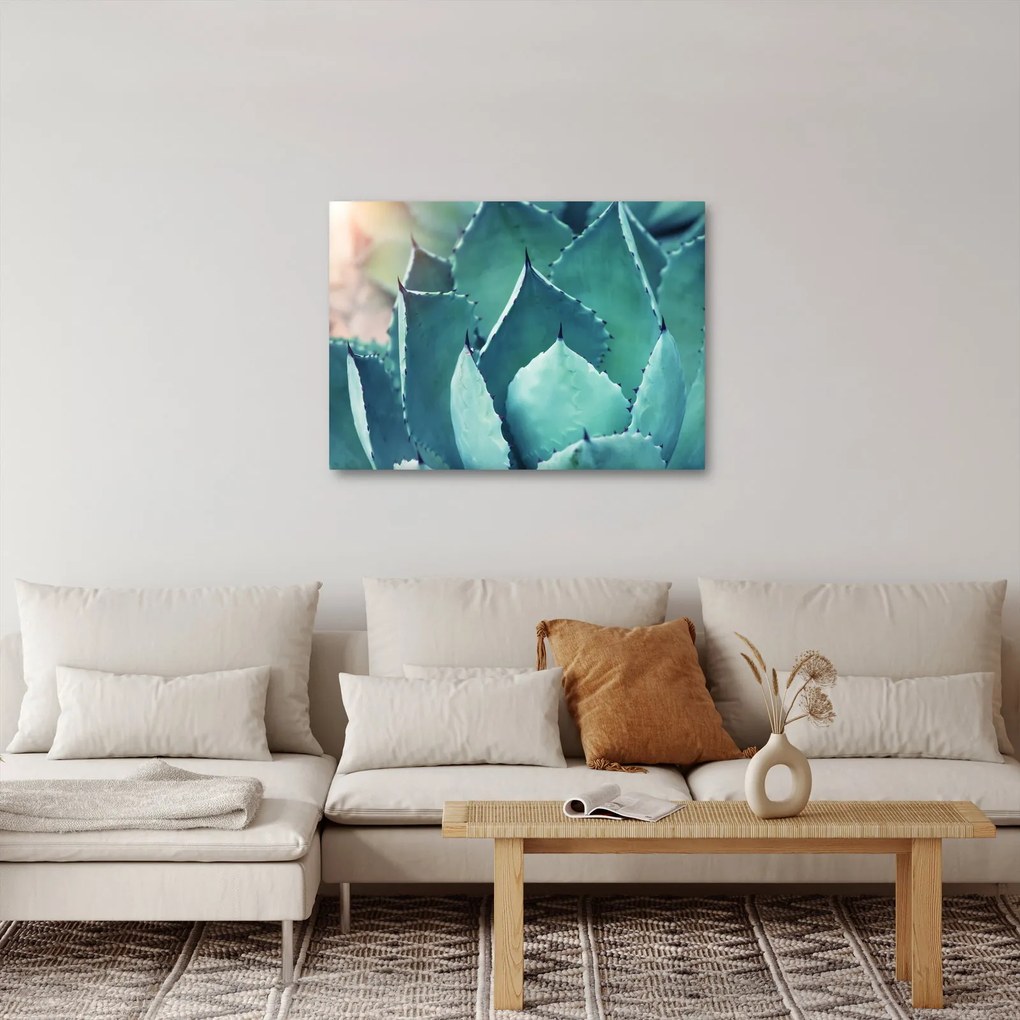 Tablou - Suculent (70x50 cm)