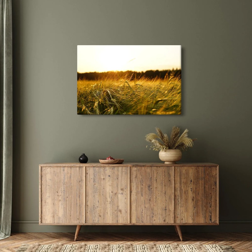 Tablou iarba cu rouă (90x60 cm)