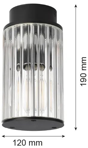 Plafonieră de exterior Argon 8773 NORFOLK 1xE27/15W/230V IP44 negru