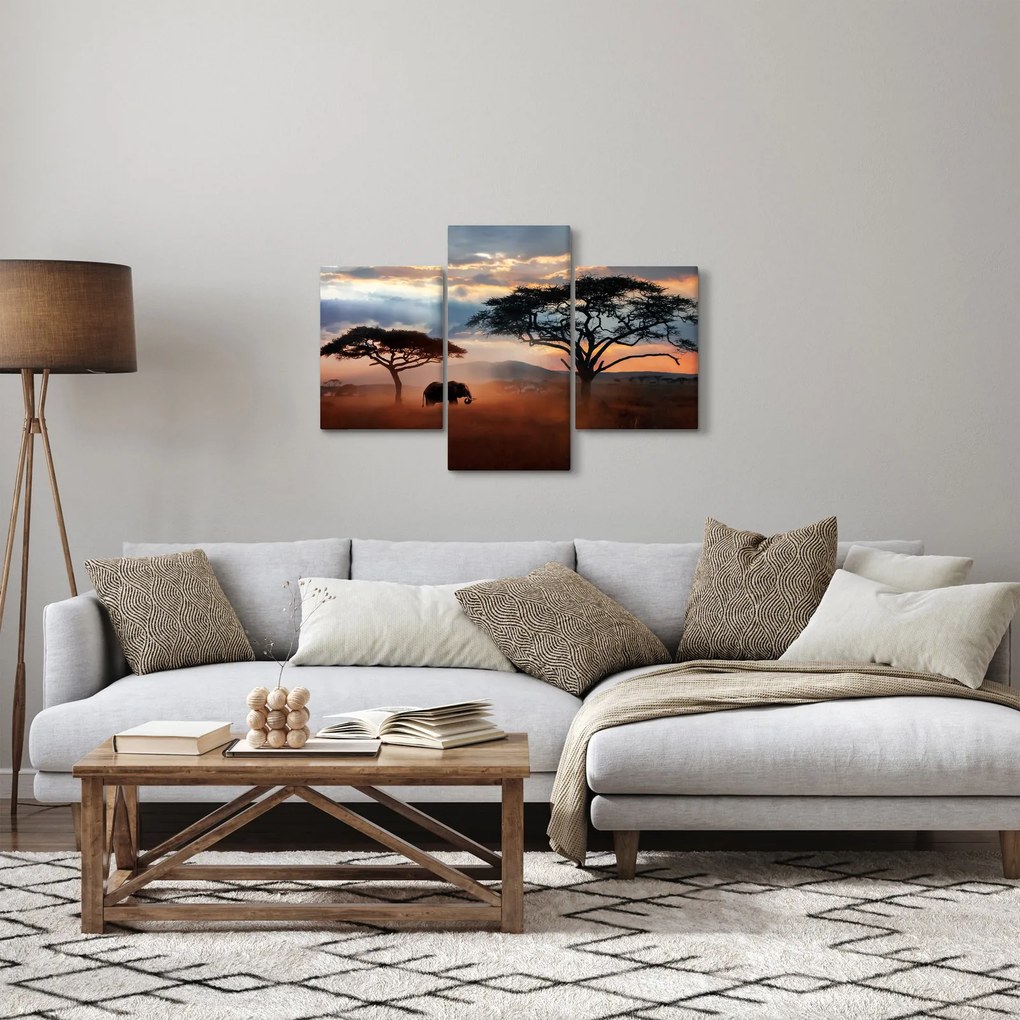 Tablou - Parcul Național Serengeti, Tanzania, Africa (90x60 cm)