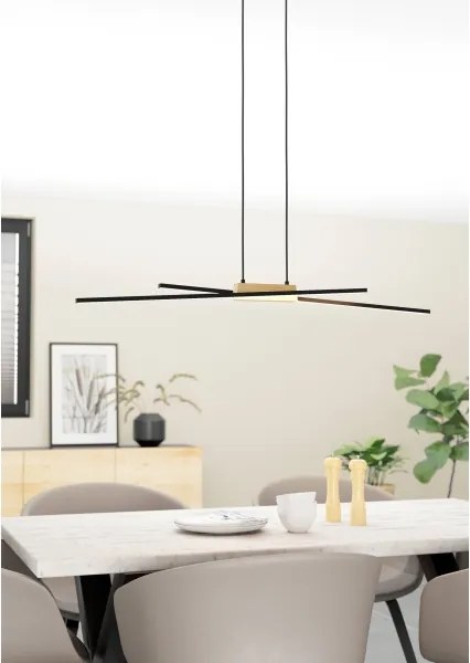 Lustră LED pe cablu dimabilă PANAGRIA 2xLED/13W/230V Eglo 900489