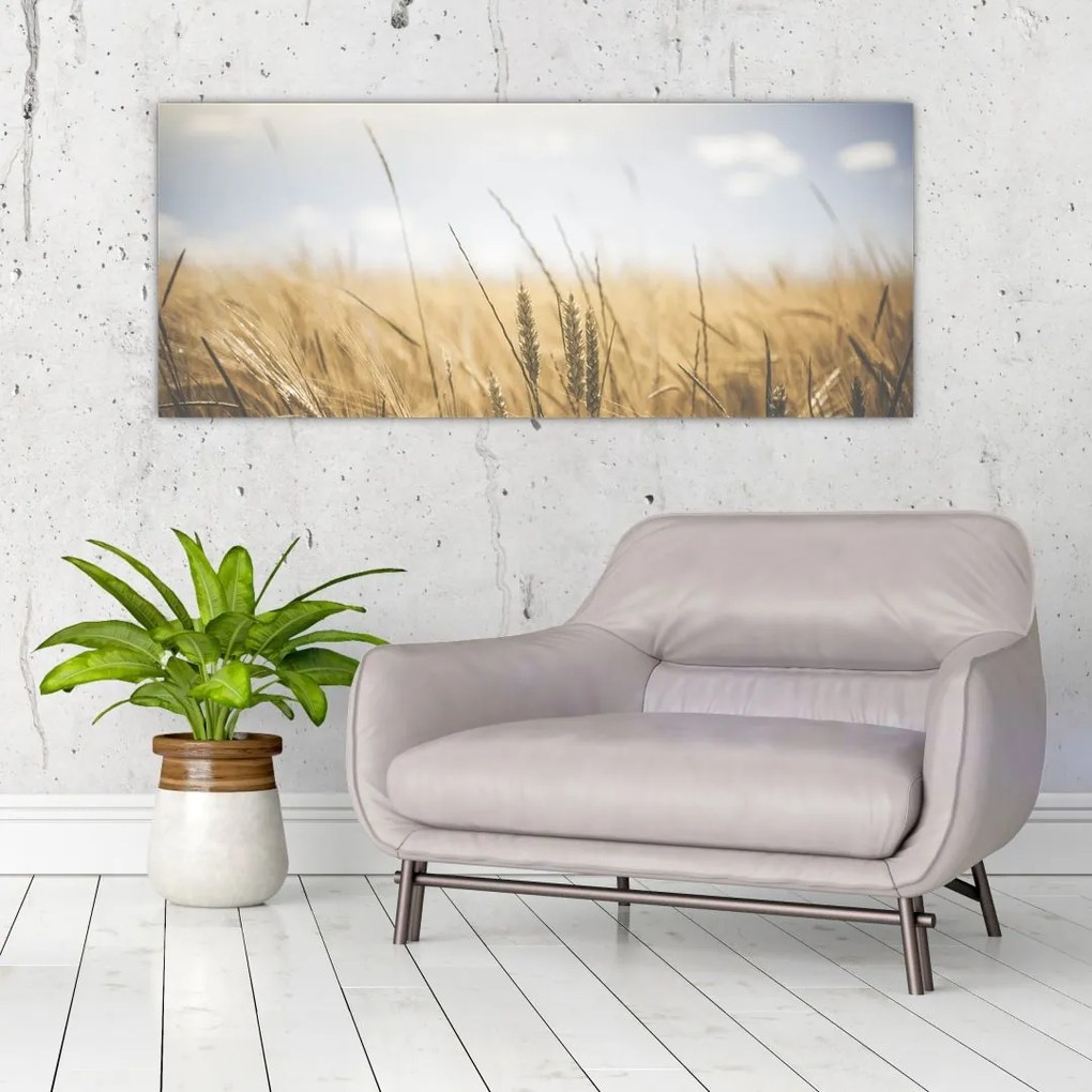 Tablou cu grâne (120x50 cm)