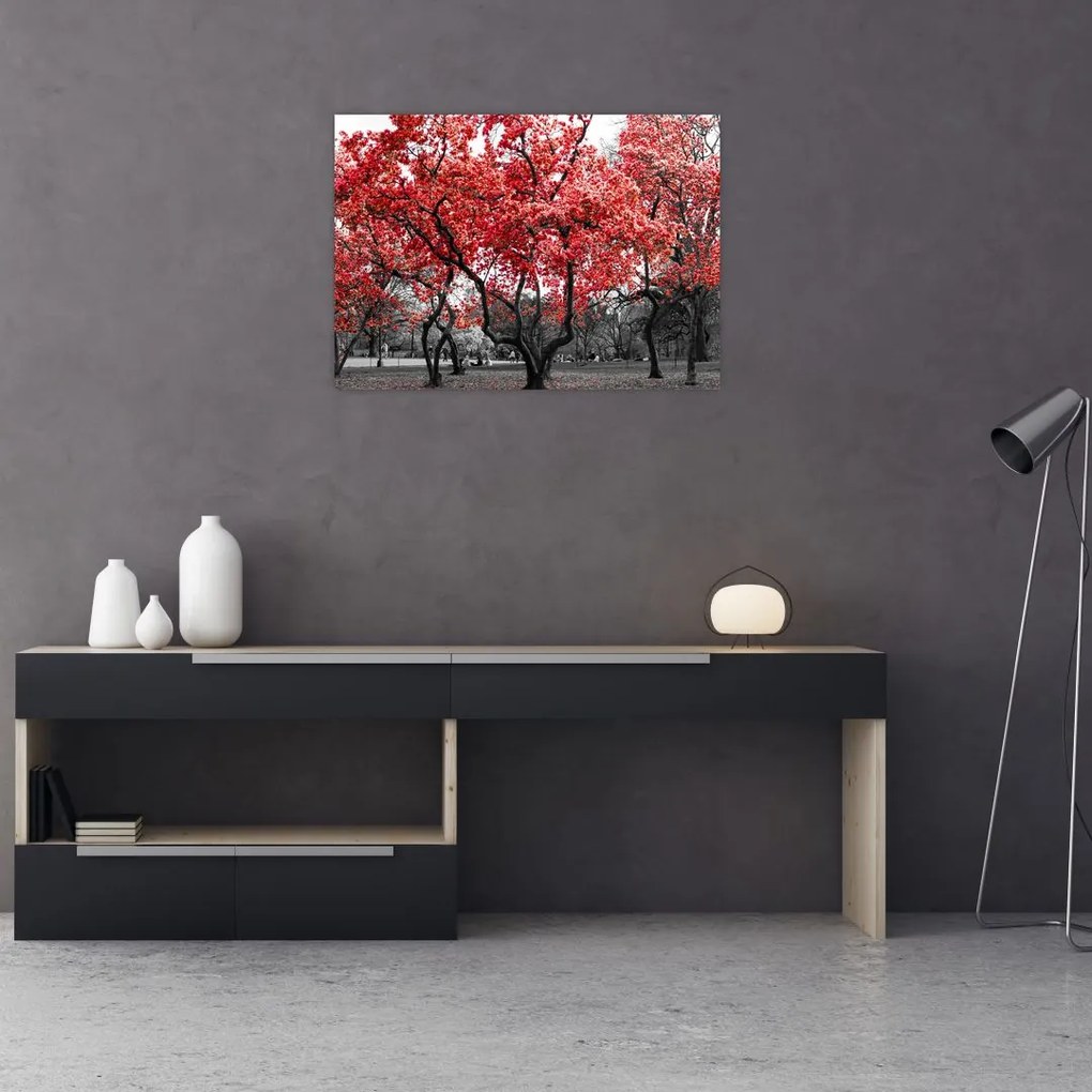 Tablou pe sticlă - Copacii roșii, Central Park, New York (70x50 cm)