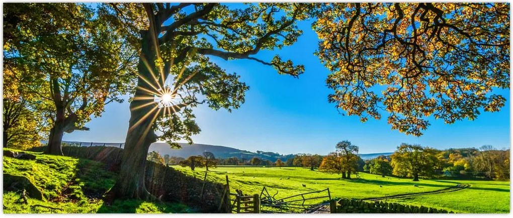 Tablou Privire la câmp (120x50 cm)