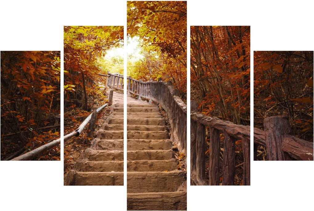 Tablou - Scări în natură în toamnă (150x105 cm)