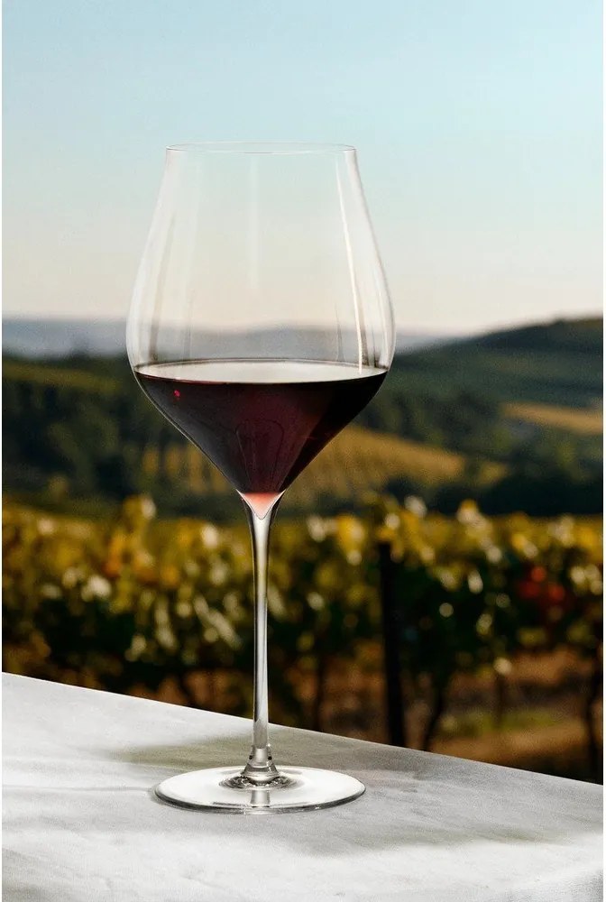 Set de pahare 2 buc. de vin 810 ml Notes – Holmegaard