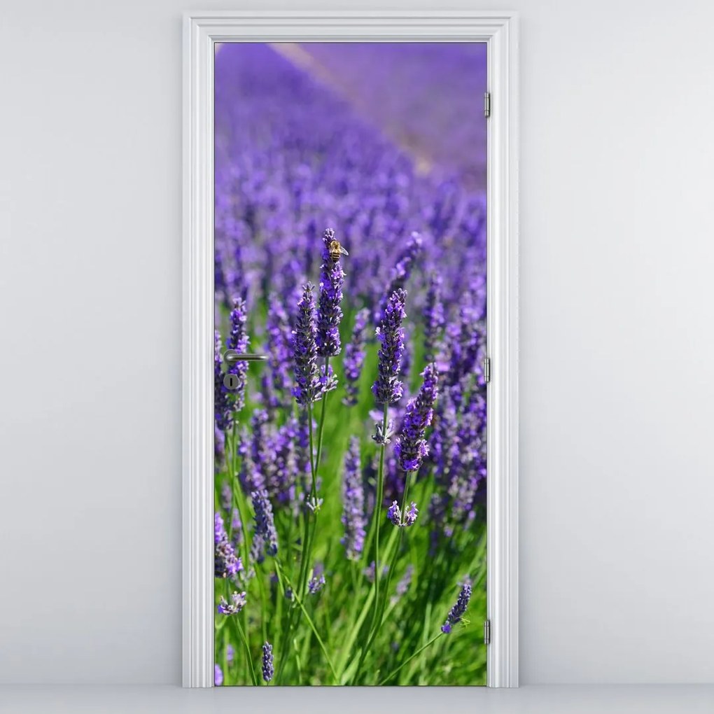 Fototapet pentru ușă - Lavandă (95x205cm)