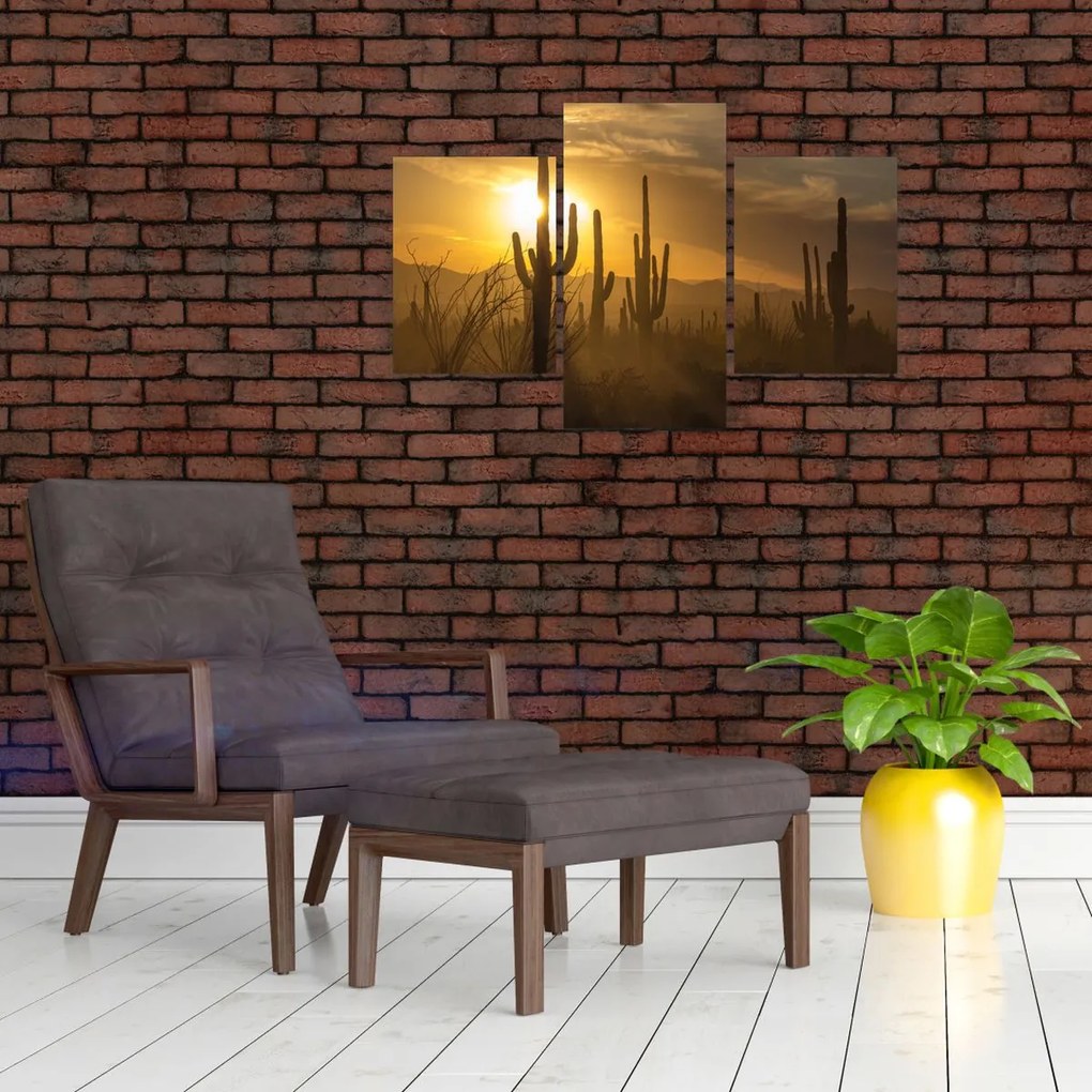 Tablou - Cactuși Saguaro (90x60 cm)