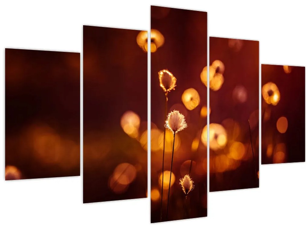 Tablou - Dimineața (150x105 cm)