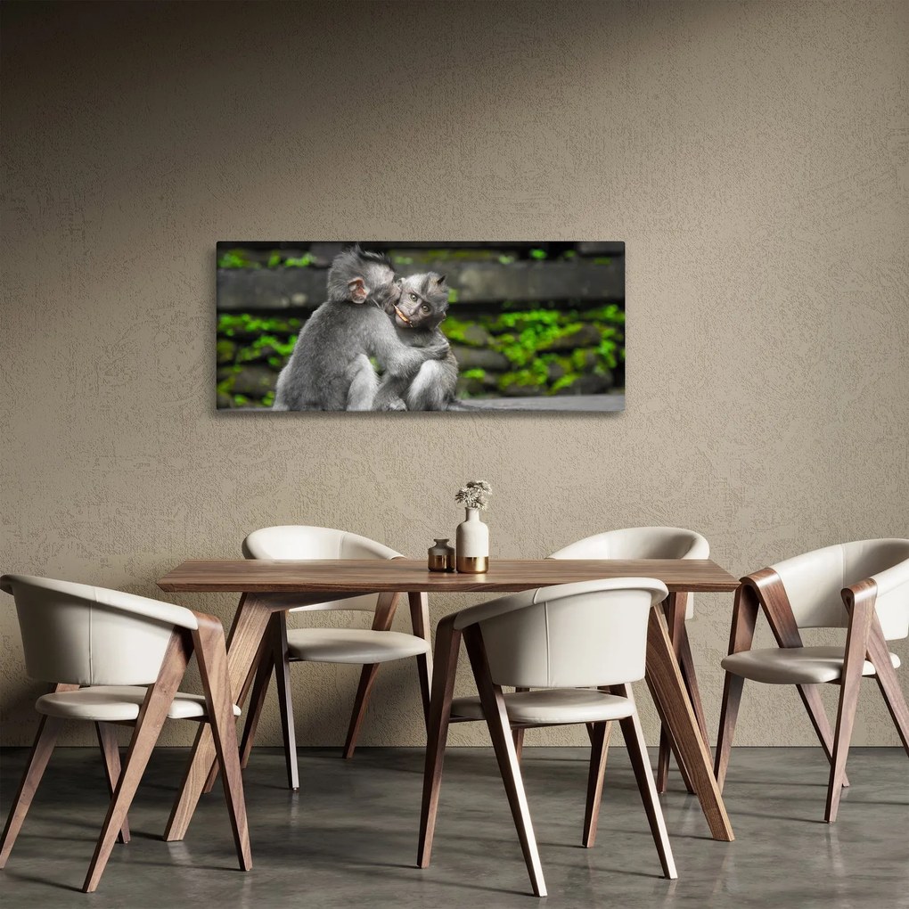 Tablou - maimuțica (120x50 cm)