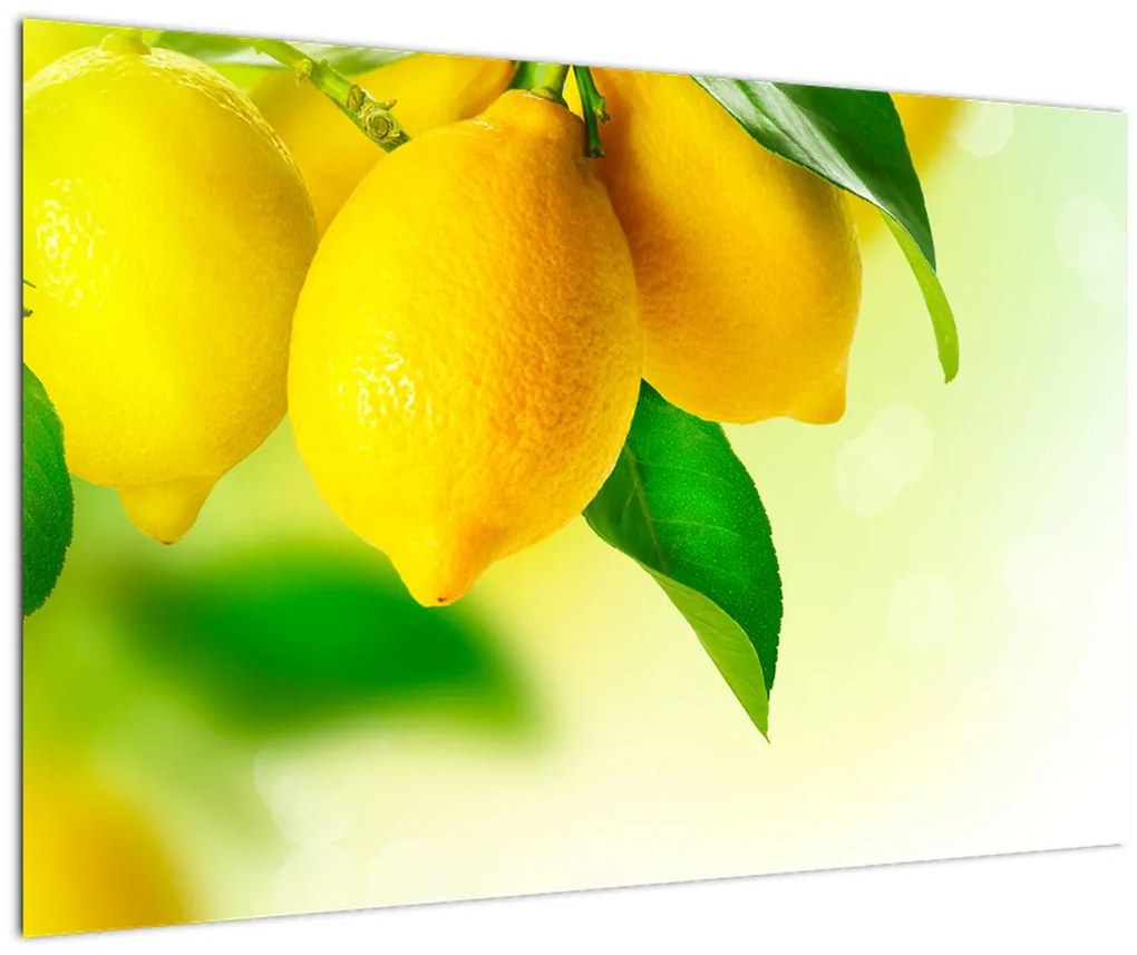 Tablou cu lămâi (90x60 cm)