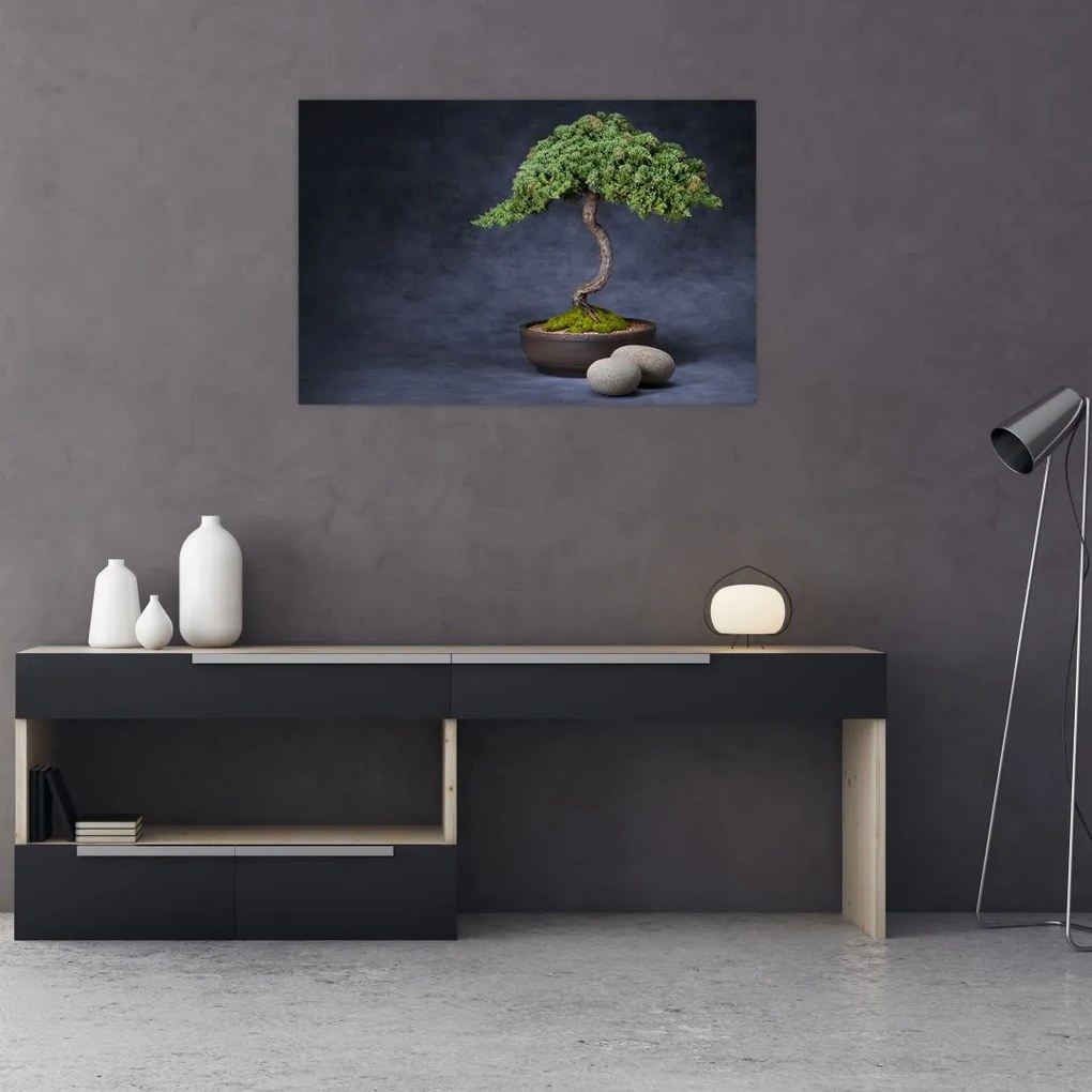 Tablou - Bonsai (90x60 cm)