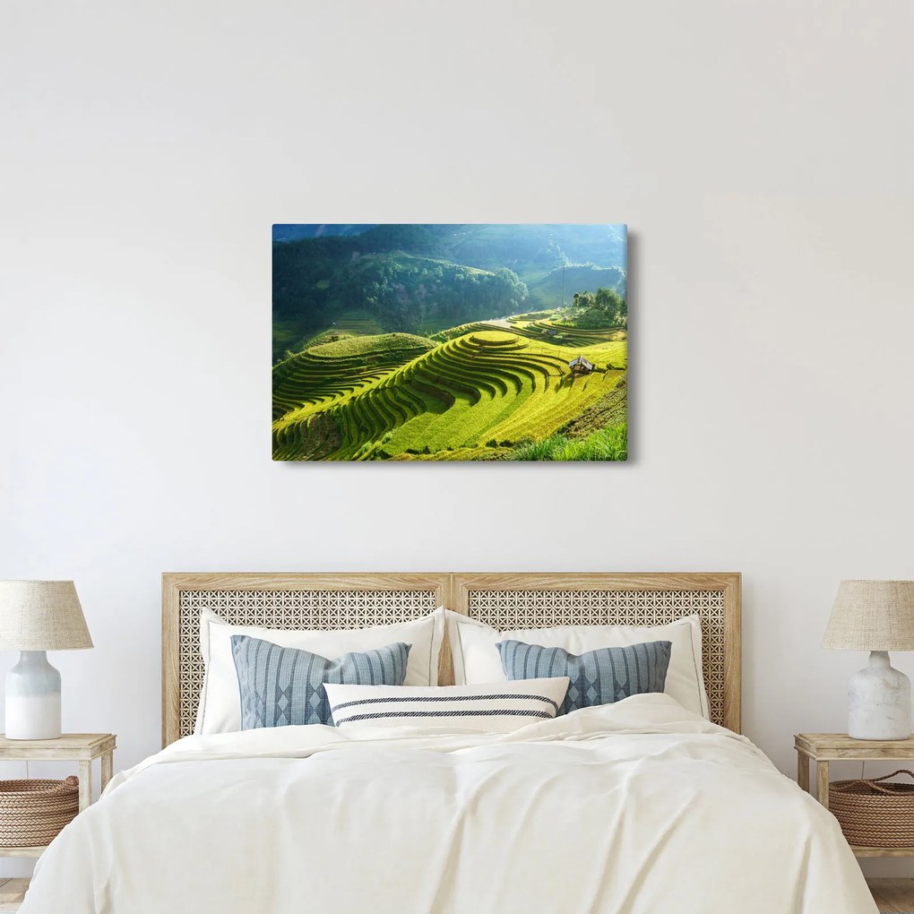 Tablou - Concert Terase de orez (90x60 cm)