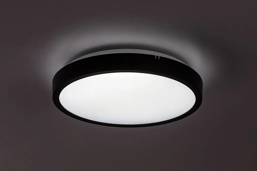 Plafoniera pentru baie, Protectie IP44 Alenzo D-30,5cm negru, alb