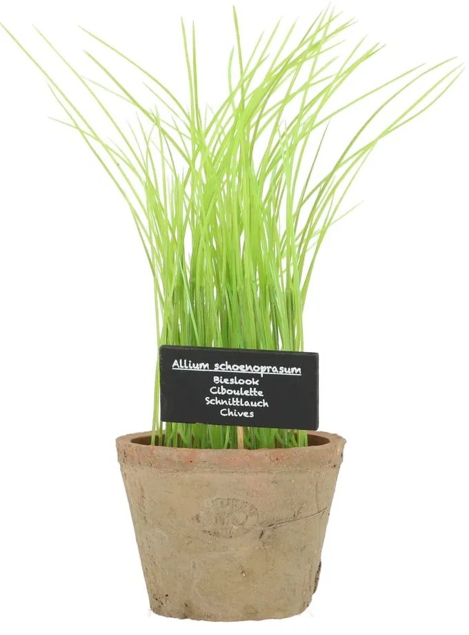 Plantă artificială (înălțime 27 cm) Chives – Esschert Design