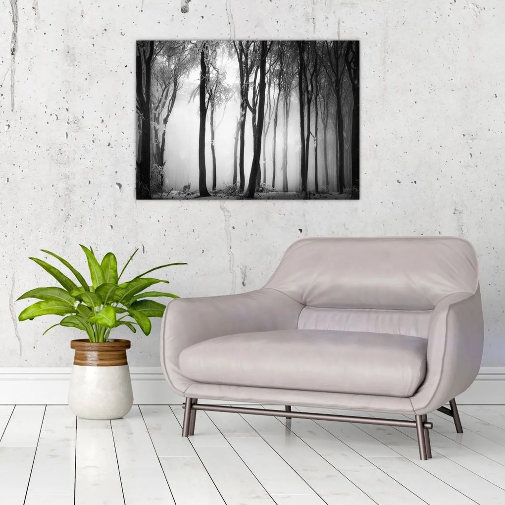 Tablou pe sticlă - Lup în pădurea întunecată (70x50 cm)
