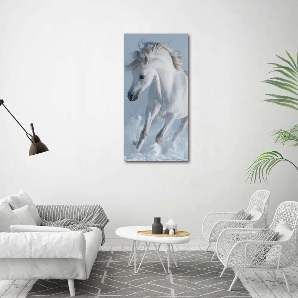Tablou pe pânză canvas Cal alb în galop