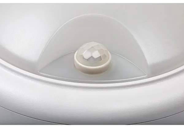 Rabalux 77029 - Aplica LED exterior cu senzor, 15W, 230V, IP54