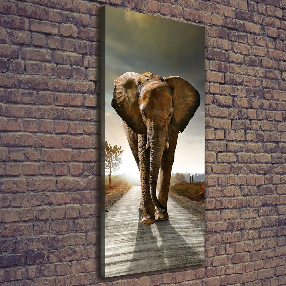 Tablou pe pânză canvas Elefant de mers pe jos