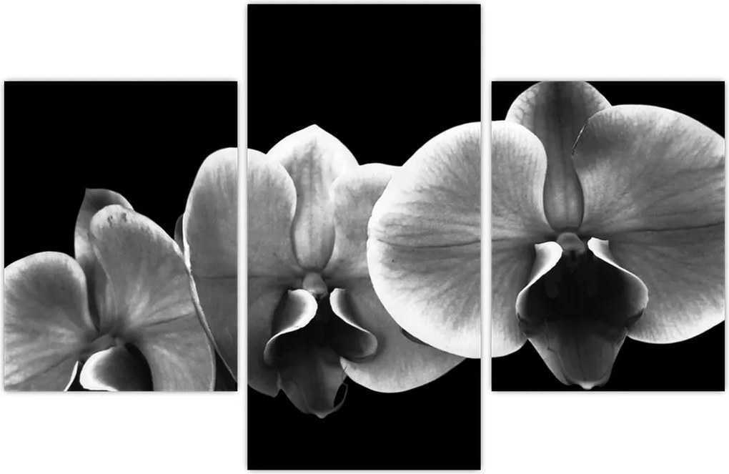 Tablou floare de orhidee (90x60 cm)