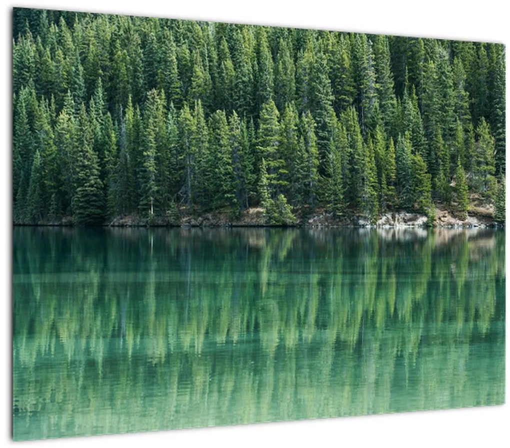 Tablou - Coniferi lângă lac (70x50 cm)