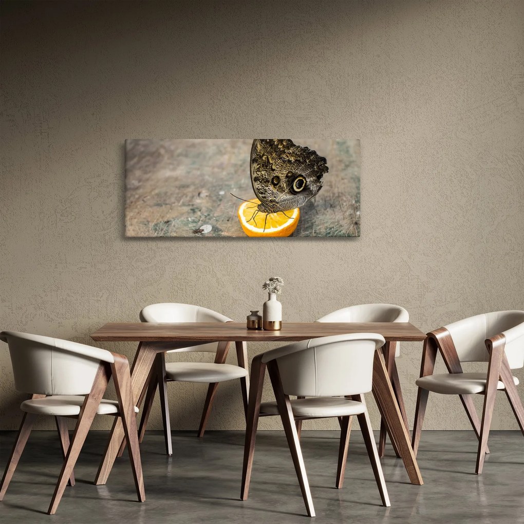 Tablou cu fluturi (120x50 cm)