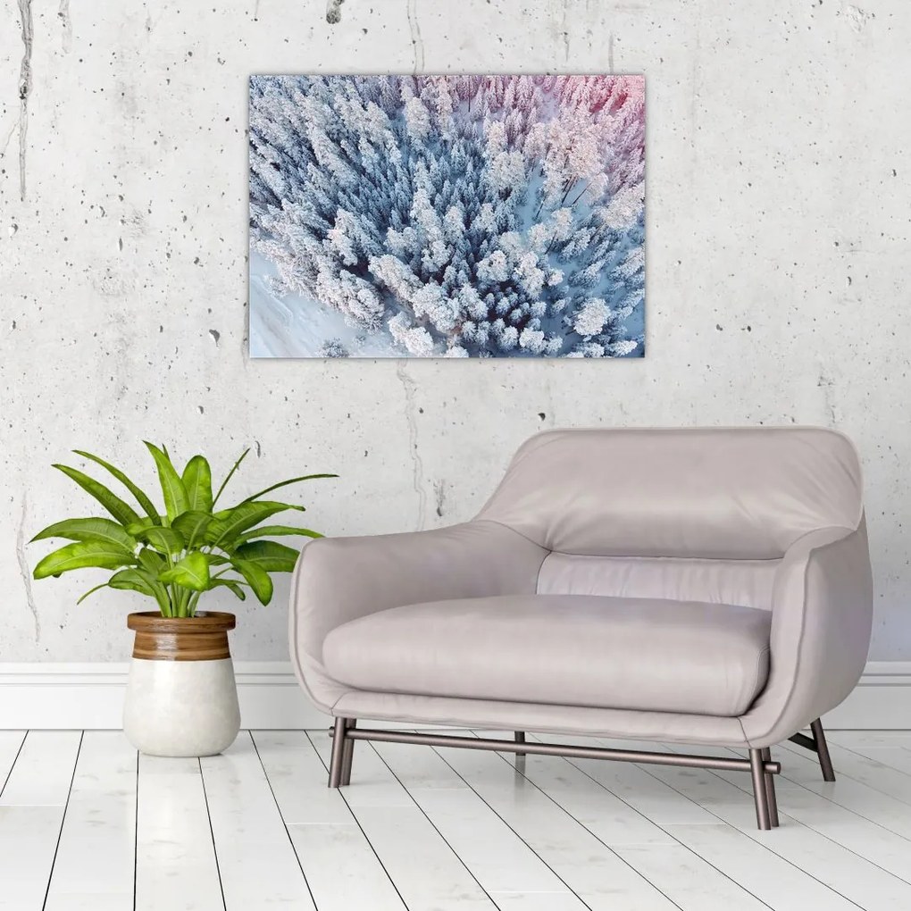 Tablou cu copaci înzăpeziți (70x50 cm)